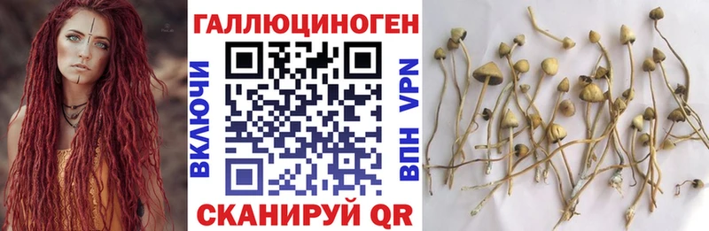 Галлюциногенные грибы мицелий  mega ONION  Новосокольники 